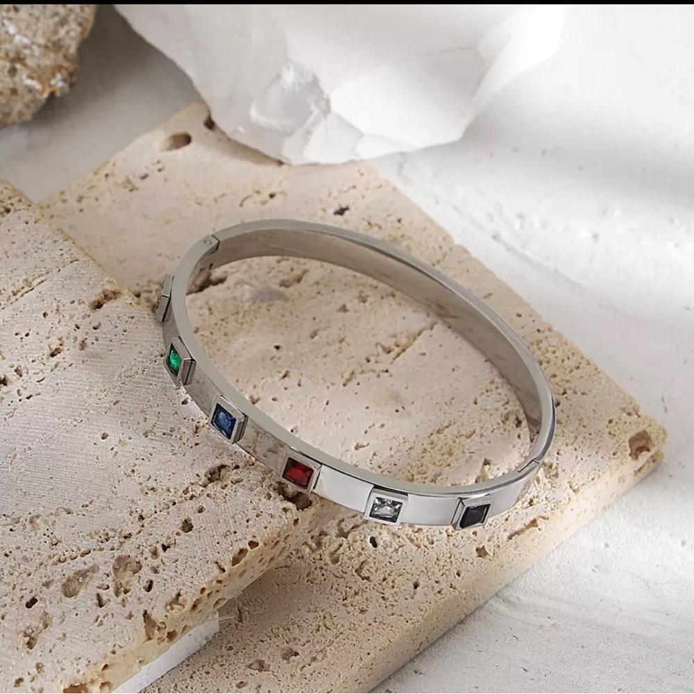 Women's Stainless Steel Bracelets Bangles